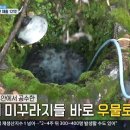 미꾸라지식당 이미지