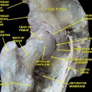 경희대남한의원 이미지