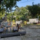 숲속정원 이미지