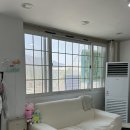 안산 네일샵 엘르몬트 이달의아트 네잎클로버 네일 후기