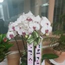 햇빛병원 화장실 이미지