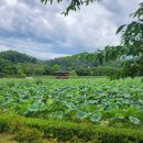 문경수산물직매장 네이버블로그