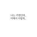 화목화 네이버블로그