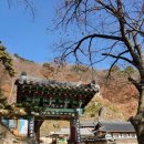 성전암등산로 이미지