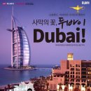 두바이PC 이미지