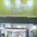 라마벨플라워 이미지