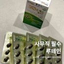 (주)한국클라리티 | 눈영양제 루테인영양제 추천 사무직 필수 [아이골드맥스 플러스]