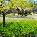 연못들6 이미지