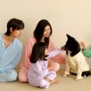 마른파이브 매일경제