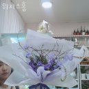 위치스홈 이미지