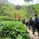 호암2약수터 | 서울둘레길 12코스 호암산 - 호암산 구간