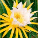 [슬기로운 의약생활]건강한 생활에 꼭 알아야 할 의약상식 | 혈당 110 걱정될 때 제가 해 본 관리법 솔직하게 씁니다