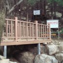 황령산 편백단지 이미지