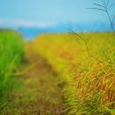 충주농산물종합시장(중앙청과시장) | 충주여행 추천 코스, 관광지, 맛집 5곳씩(총 15곳), 충주 가볼만한 곳 추천