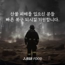 비에스비 더쎈뉴스