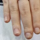 루미가넷(제주) 네이버블로그