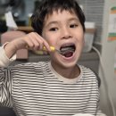 푸른들 | 국산 후리카게 푸른들 볶음야후 솔직 후기, 유아 주먹밥 레시피로 딱 좋은 간편 반찬