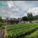 천안시병천면매성보건진료소 이미지