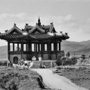 수원-1950 이미지