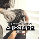 담아내기 | 세종나성 문제성두피탈모케어관리 후기, 스파오라스칼프 세종나성점에서 탈모·두피가려움 해결!