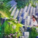 PC 플러스 이미지