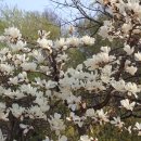 하얀쉼터 이미지