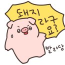 소가야횟집 이미지