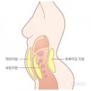 복부비만의 기준, 남자는 36인치 여자는 34인치 측정법도 중요하다 이미지