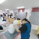 원애견샵 이미지