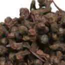 삼성약업사 이미지