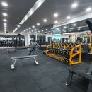 메디아나짐 이미지