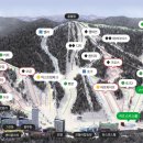 평창 휘닉스파크 이미지