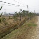 늘푸른공간 이미지