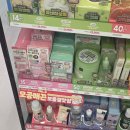 팡팡라이브룸 | 올리브영 세일 올영 망곰 콜라보 실물 증정품 비교 넘버즈인 3번 에뛰드 포근 픽싱 틴트 구매 후기