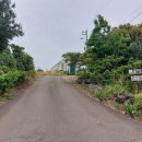 온평리-9 이미지