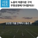 우항공원 이미지