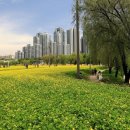 설렘한스푼 이미지