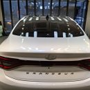 진주 전 송대산성 | 진주디테일링 나무송진 제거 후기｜도장 손상 없이 깔끔 복원