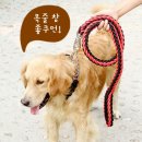 에이치텍 이미지