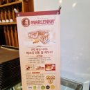 [인천 서구 검암]set them free coffee(셋뎀프리커피) &amp; 말렌카 꿀 케이크 후기