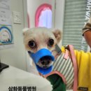 표선동물병원 이미지