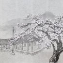 남사-8 오마이뉴스