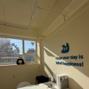 수지애견 이미지