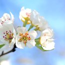 남대천단오장 | 강릉 단오제의 전통과 현대적 재미 – 유네스코가 인정한 한국의 축제