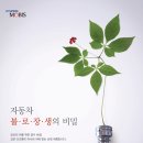현대광고인쇄 이미지