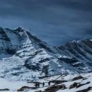 웰빙동물병원 이미지