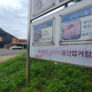 '온통 산 뿐' 괴산 230억 수산단지, 식당주인 "월 20일 논다" 이미지