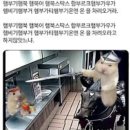 비기패스트 이미지