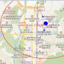 디엠