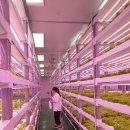 (주)에이트팜 이미지